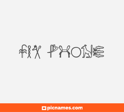 Fix Phone